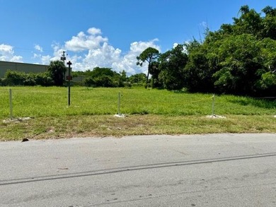 CLOSE TO 1 ACRE!. and CLEARED RECENTLY .78-acre property offers - photo 3