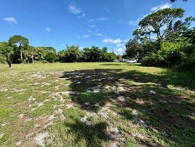 CLOSE TO 1 ACRE!. and CLEARED RECENTLY .78-acre property offers - photo 4