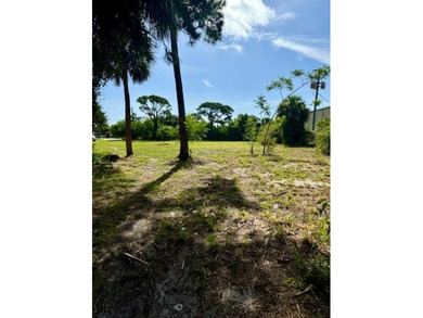 CLOSE TO 1 ACRE!. and CLEARED RECENTLY .78-acre property offers - photo 5