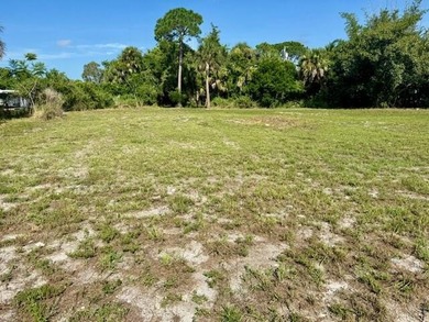 CLOSE TO 1 ACRE!. and CLEARED RECENTLY .78-acre property offers - photo 7