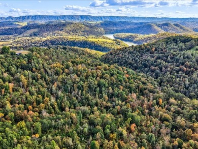6 Unrestricted Acres with Rolling Terrain and Clinch River Views - photo 26