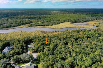 BUILD YOUR FLAGLER BEACH RETREAT ON BRIDLE RIDGE! RARE - photo 5