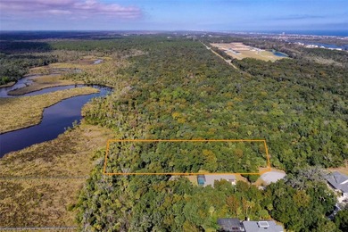 BUILD YOUR FLAGLER BEACH RETREAT ON BRIDLE RIDGE! RARE - photo 6
