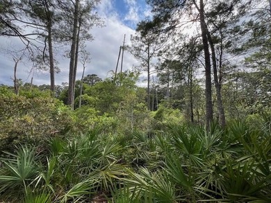 Discover the perfect opportunity to build your dream home in the - photo 12