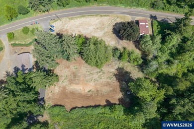 Bring your ideas to this 1.6 acre private lot on the outskirts - photo 15
