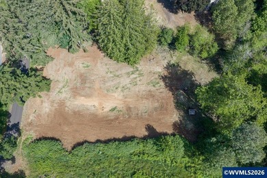 Bring your ideas to this 1.6 acre private lot on the outskirts - photo 16