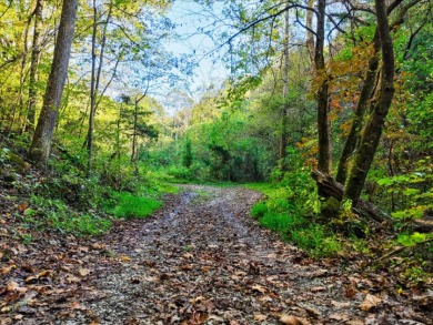 6 Unrestricted Acres with Rolling Terrain and Clinch River Views - photo 4
