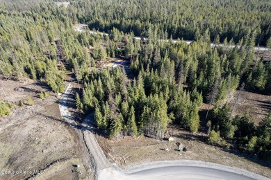 TO BE BUILT: Set on five private, lightly wooded acres in The - photo 17