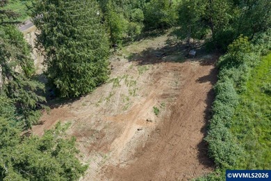 Bring your ideas to this 1.6 acre private lot on the outskirts - photo 17