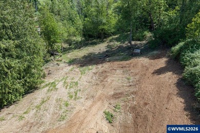 Bring your ideas to this 1.6 acre private lot on the outskirts - photo 18