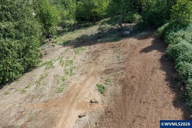 Bring your ideas to this 1.6 acre private lot on the outskirts - photo 19
