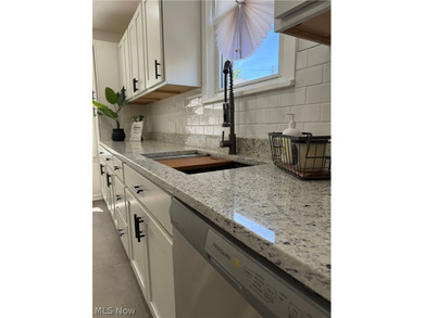 Welcome home to this stunning, fully renovated Euclid gem, where - photo 10