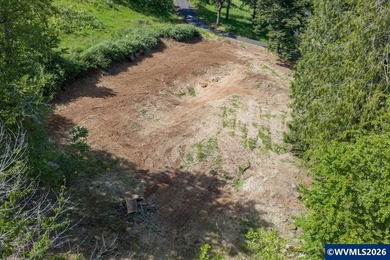 Bring your ideas to this 1.6 acre private lot on the outskirts - photo 20