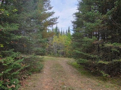Lake Acreage For Sale in Tomahawk, Wisconsin