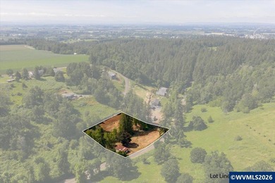 Bring your ideas to this 1.6 acre private lot on the outskirts - photo 22