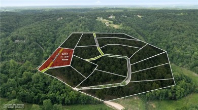 Beaver Lake Lot For Sale in Rogers Arkansas
