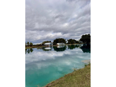 (private lake, pond, coastal) Home For Sale in Pelham Georgia