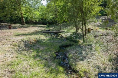Bring your ideas to this 1.6 acre private lot on the outskirts - photo 31