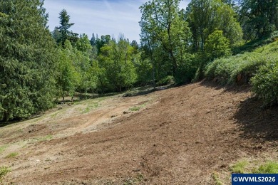Bring your ideas to this 1.6 acre private lot on the outskirts - photo 32