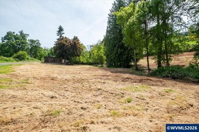 Bring your ideas to this 1.6 acre private lot on the outskirts - photo 33