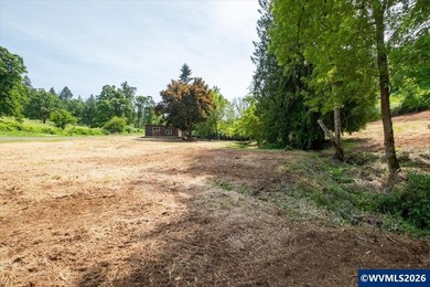 Bring your ideas to this 1.6 acre private lot on the outskirts - photo 34