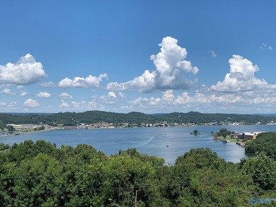 Perched in Webb Mountain Estates with breathtaking views of Lake - photo 6