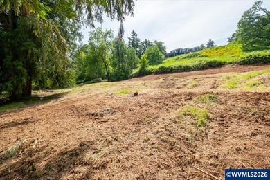 Bring your ideas to this 1.6 acre private lot on the outskirts - photo 36