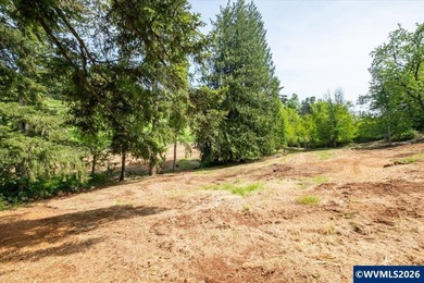 Bring your ideas to this 1.6 acre private lot on the outskirts - photo 38