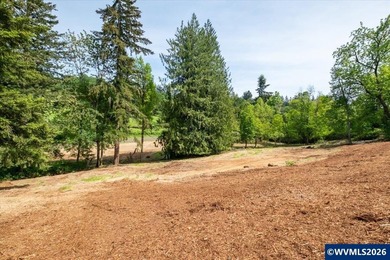 Bring your ideas to this 1.6 acre private lot on the outskirts - photo 39