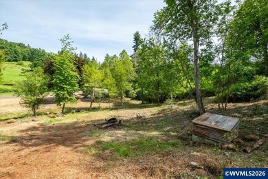 Bring your ideas to this 1.6 acre private lot on the outskirts - photo 40