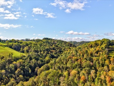 6 Unrestricted Acres with Rolling Terrain and Clinch River Views - photo 23