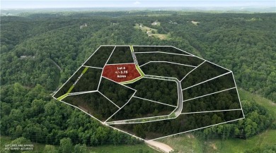 Beaver Lake Lot For Sale in Rogers Arkansas