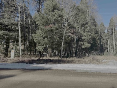 Build your mountain retreat on this .88-acre lot in the highly - photo 3