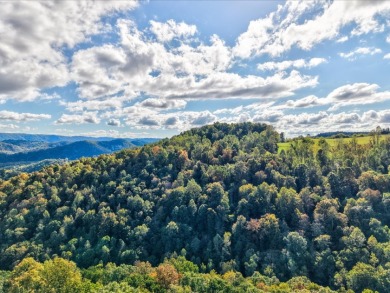 6 Unrestricted Acres with Rolling Terrain and Clinch River Views - photo 22