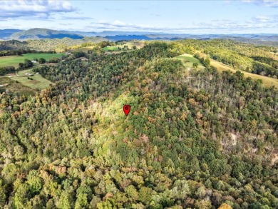 6 Unrestricted Acres with Rolling Terrain and Clinch River Views - photo 2