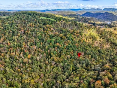 6 Unrestricted Acres with Rolling Terrain and Clinch River Views - photo 13