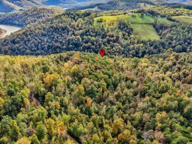 6 Unrestricted Acres with Rolling Terrain and Clinch River Views - photo 16