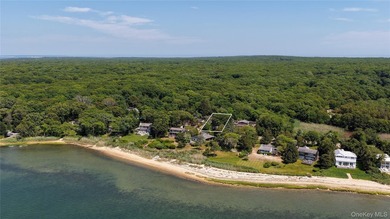 Hamptons Beach House in Waterfront Community and Beach Access - photo 5