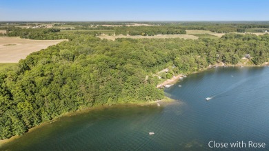 Big Pine Island Lake Acreage For Sale in Belding Michigan