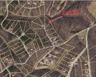 Lake Lot For Sale in Moneta, Virginia