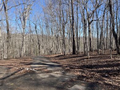 Nice lake access lot in Beechwood West community. End of street - photo 3