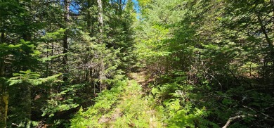Lake Acreage For Sale in Mercer, Wisconsin