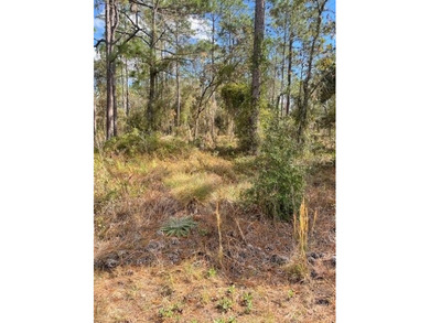Bonable Lake Lot For Sale in Dunnellon Florida