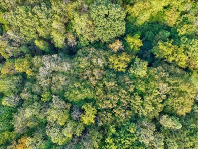 6 Unrestricted Acres with Rolling Terrain and Clinch River Views - photo 21