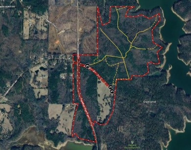 Lake Acreage Sale Pending in Five Points, Alabama