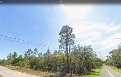 Bonable Lake Lot For Sale in Dunnellon Florida
