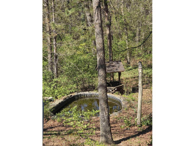 Opportunity awaits in the desirable Twin Lakes Golf Course - photo 3