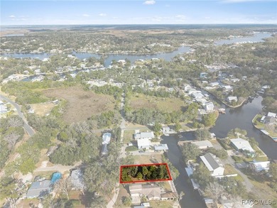 Rare Old Homosassa waterfront lot! Build your dream coastal - photo 14