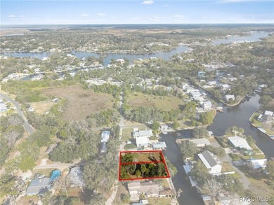 Rare Old Homosassa waterfront lot! Build your dream coastal - photo 20
