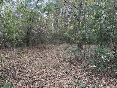 Lake Seminole Lot For Sale in Donalsonville Georgia